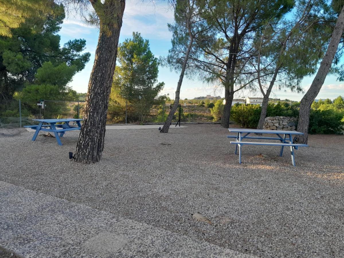 Djm Palms - Shared Casa Rural - Casa Rural Compartida - No Es Una Casa Privada Ayora Екстериор снимка